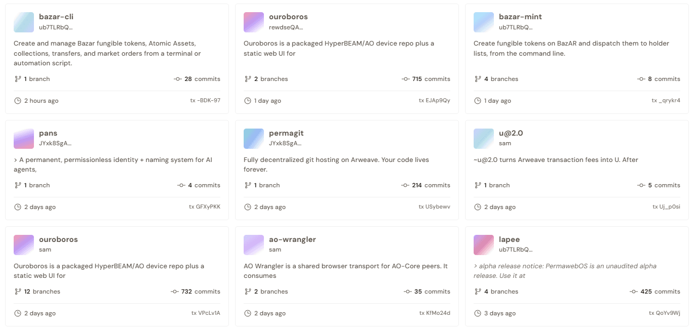 A dashboard grid displaying code repository cards with project titles, descriptions, branch and commit counts, and recent update timestamps.